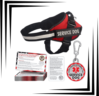 service dog vest