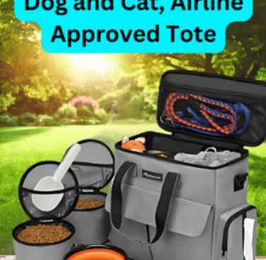 pet travel case