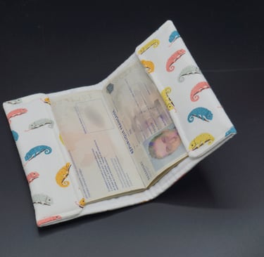 pochette-passeport