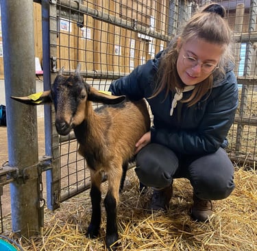 Ostéopathie animale chez les animaux de la ferme