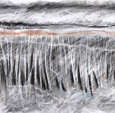Paysage imaginaire 040625 - Fusain et carré comté sur papier - 65X50 - 2025