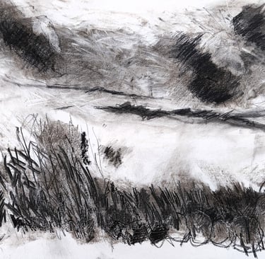 Paysage imaginaire 130525 - Fusain sur papier - 65X50 - 2025