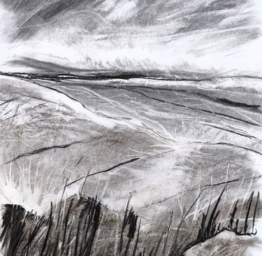 Paysage imaginaire 200525 - Fusain sur papier - 65X50 - 2025
