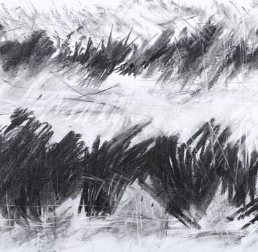 Paysage imaginaire 210625 - Fusain sur papier - 65X50 - 2025