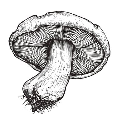 Black Pencil Mushroom by Sezer Ali