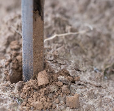 trufalab muestra de suelo