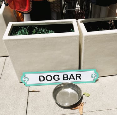 dog friendly water bowl in coronado, ca with words "dog bar"
