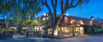 dog friendly palo alto ca