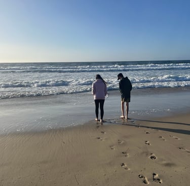 casa munras dog friendly monterey ca