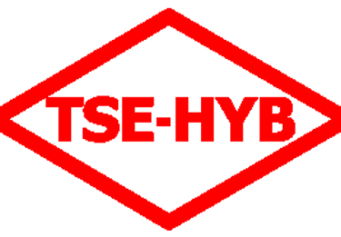 tse, tse belgesi, hyb belgesi, hyb belgesi almak, hyb belge almak, hizmet belgesi al