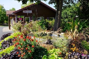 hameau gites Sarrebourg