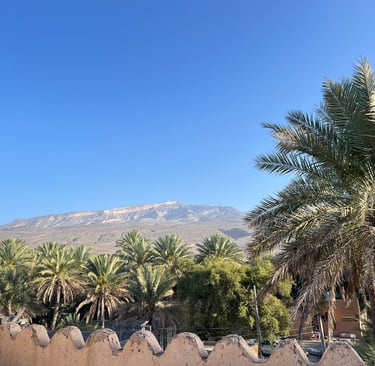 Scenic desert oasis featuring lush green palm trees against a backdrop of rugged mountains under a clear blue sky.