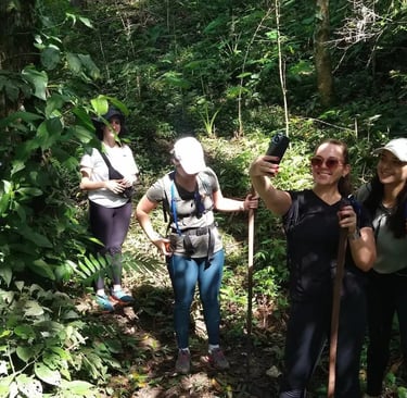 a group of people walking through a forest