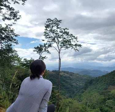 a woman sitting on a rock with a view of the mountains