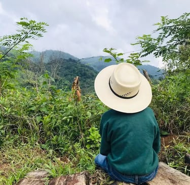 a man in a hat sitting on a log