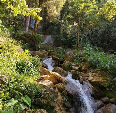 a waterfall in the middle of a forest