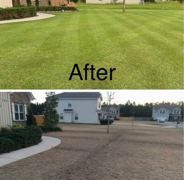 actual customer lawn before after