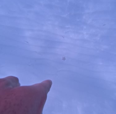 a person holding a kite in the sky catalina island punta cana