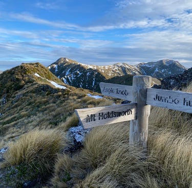 Trail sign marking Mount Holdsworth hiking route in New Zealand
