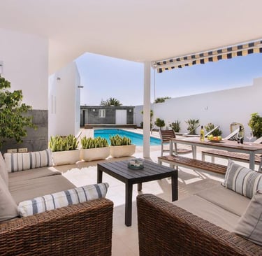 Terraza pisicna