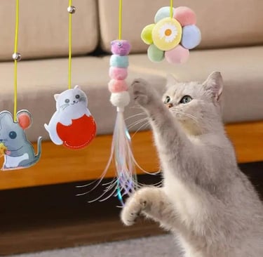 Pet Shop para Gatos