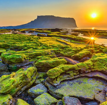 Le Seongsan Ilchulbong (성산일출봉) à Jeju (제주도), une destination incontournable pour voyager en Corée