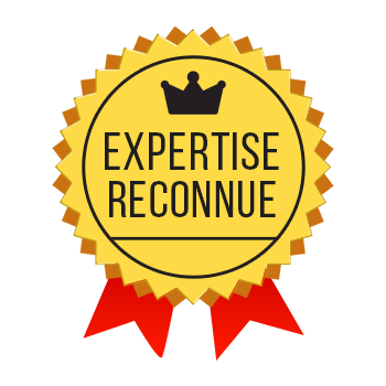 Une médaille d'or pour l'expertise acquise dans le cadre d'une expérience professionnelle couronnée 