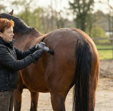 A woman using a percussive massage gun on a bay horse's hindquarters for equine muscle recovery.