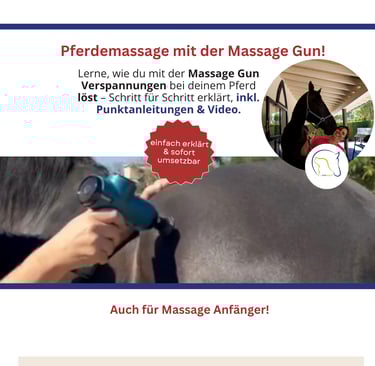 Massage Gun beim Pferd richtig einsetzen