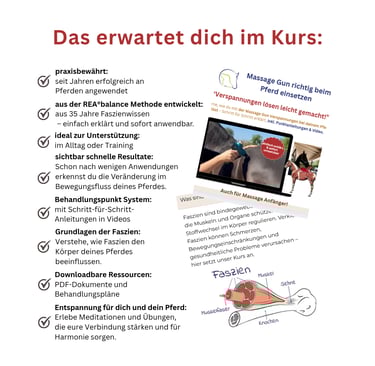 Inhalte des Massage Gun Kurses