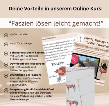 Online Kurs für Pferde Teil 1