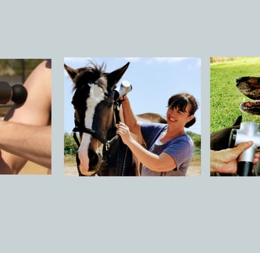 Several suction cups are placed on a person's back as part of a therapeutic treatment, commonly know