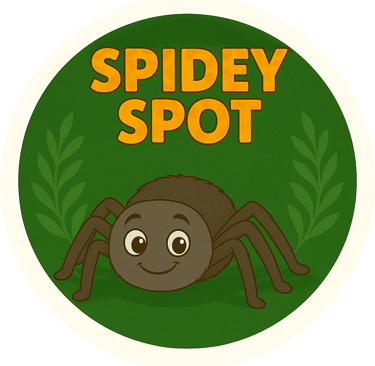 Spidey Spot - spider-themed finds for curious minds