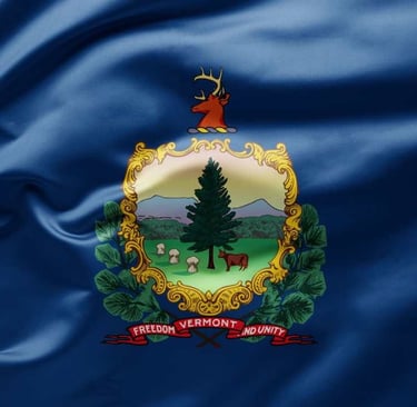 Vermont high-risk home insurance flag