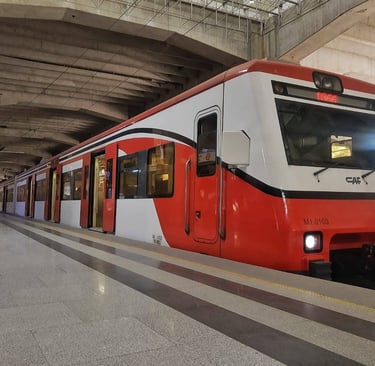 Tren Suburbano Estación Fortuna