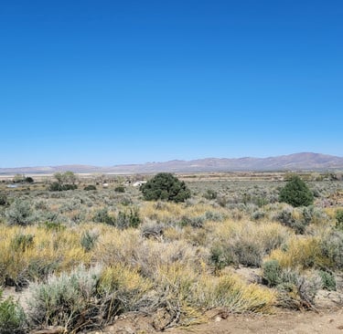 10 acres of land recently sold for $150,000 by Walker River Basin Realty.