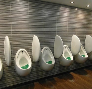 desodorización de baños