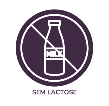 Sem Lactose Mr. Fit Prudente