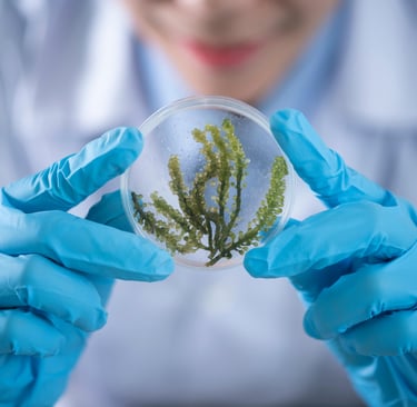 How Doctors Can Increase Patient Flow Using SEO in 2025