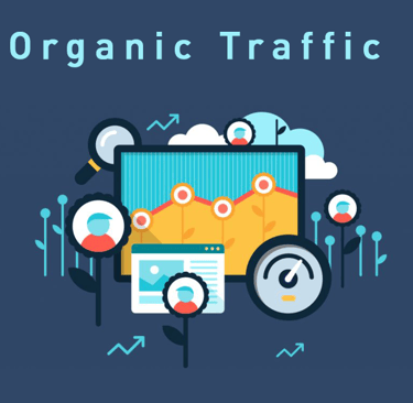 DigiCroiX Solutions Is your website attracting visitors without paid ads