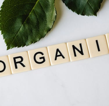 DigiCroiX Solutions Understanding Organic Traffic The Key to a Sustainable Online Presence