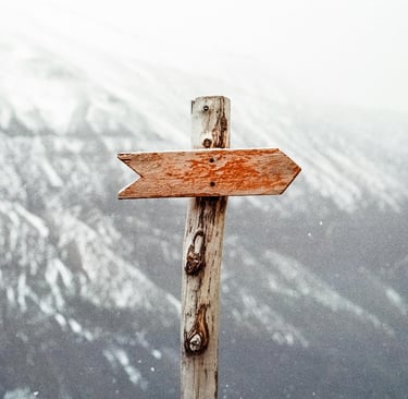 Want to increase website traffic Let SEO lead the way