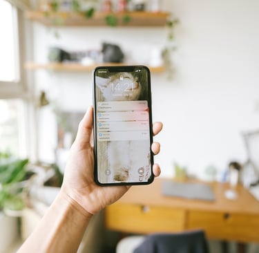 Why a Mobile-Friendly Website Matters for Your Business DigiCroiX