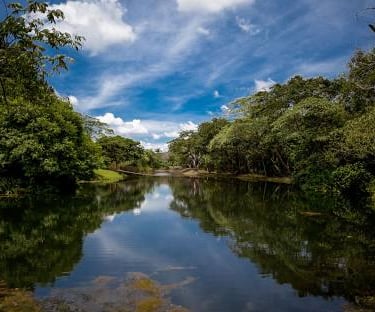 Agência de marketing para clínicas com IA em Mato Grosso