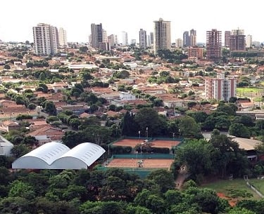 Gestão de redes sociais para Endocrinologista em Araçatuba