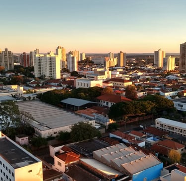 Gestão de Redes Sociais para Angiologista em Araraquara