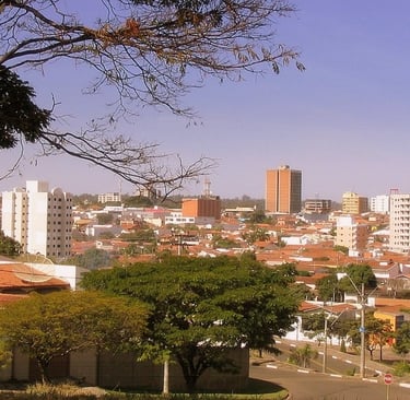 Gestão de redes sociais para Endocrinologista em Araras