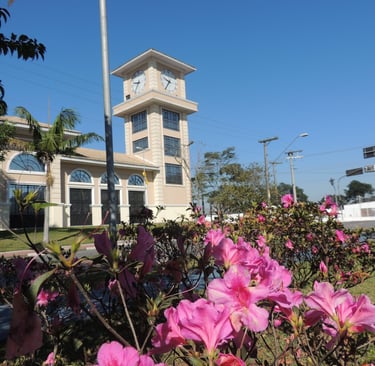 Gestão de redes sociais para dermatlogista em Ribeirão Pires