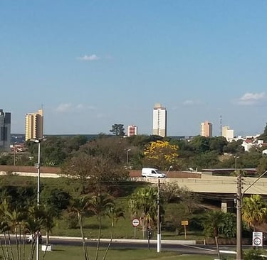 Gestão de redes sociais para Endocrinologista em Leme 