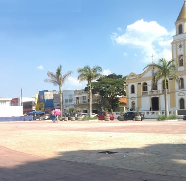 Gestão de Redes Sociais para Angiologista em Cotia